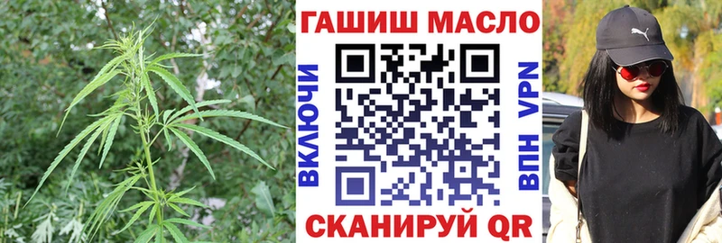 где продают наркотики  Гвардейск  Дистиллят ТГК Wax 