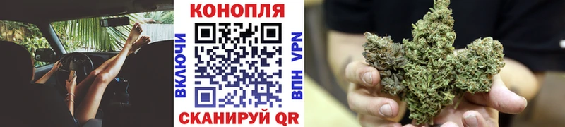 Конопля ГИДРОПОН  где купить наркоту  Гвардейск 
